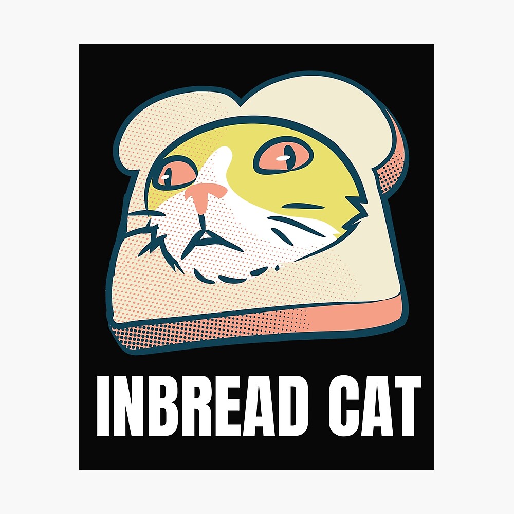 Hehe Cat Meme Toast Bread Ubicaciondepersonascdmxgobmx 6838