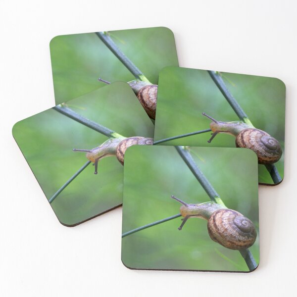 Item preview, Slowly, Slowly designed and sold by Siene Browne.