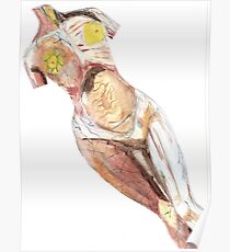 Anatomical Nude Modelled on "In Utero" Album Poster