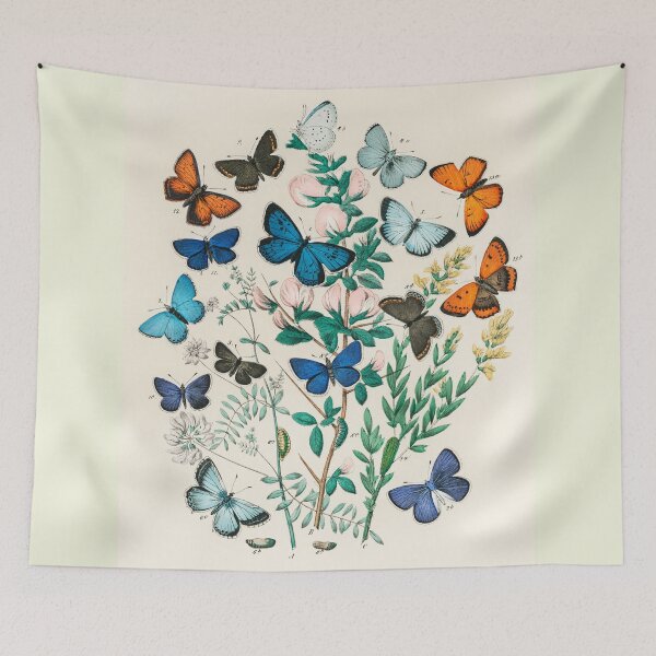 Item preview, Mariposas, polillas y orugas, litografía de 1800 designed and sold by Booboo13.