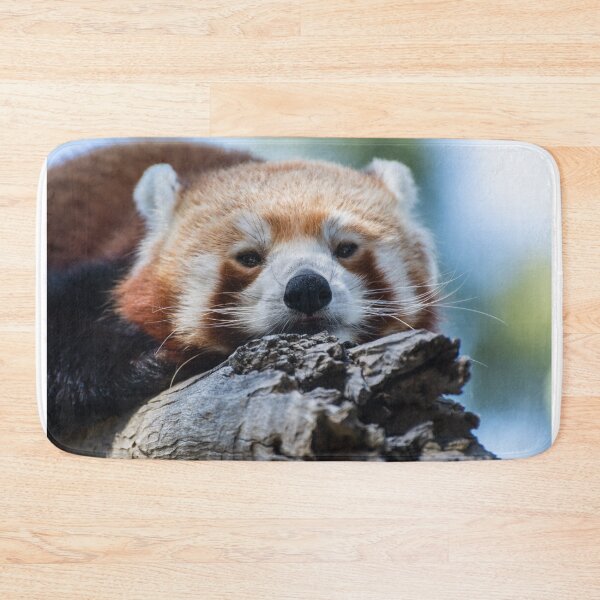 Item preview, Red panda designed and sold by AlizadaStudios.