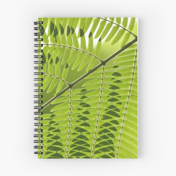 Item preview, Fern in the Palm House, Kew Gardens.  designed and sold by jmwilesphotos.