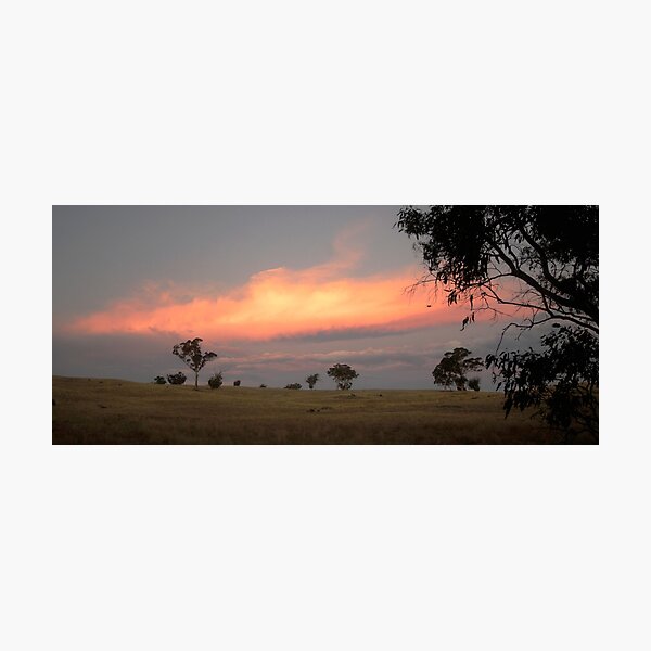 Military Road, Brukunga, South Australia Photographic Print
