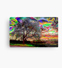 Psychedelic Sunset Metal Print