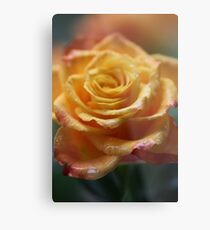 75 years ago: great hit "Autumn Roses", tango . F E A T U R E D in Superbly Visual. Metal Print