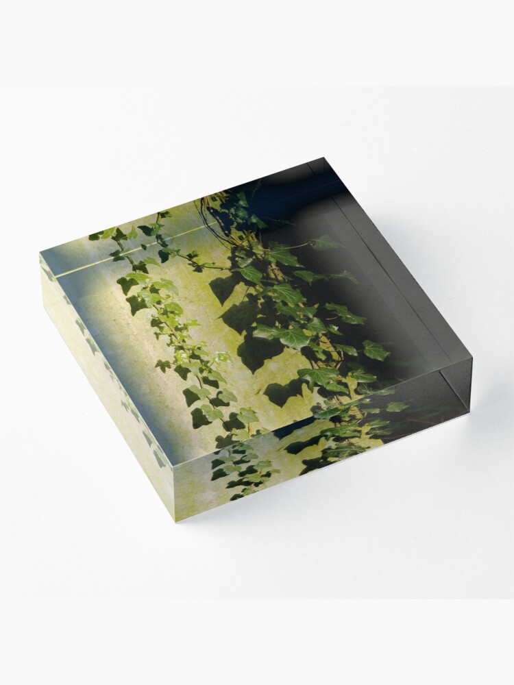 Alternate view of Trailing ivy on grave Acrylic Block