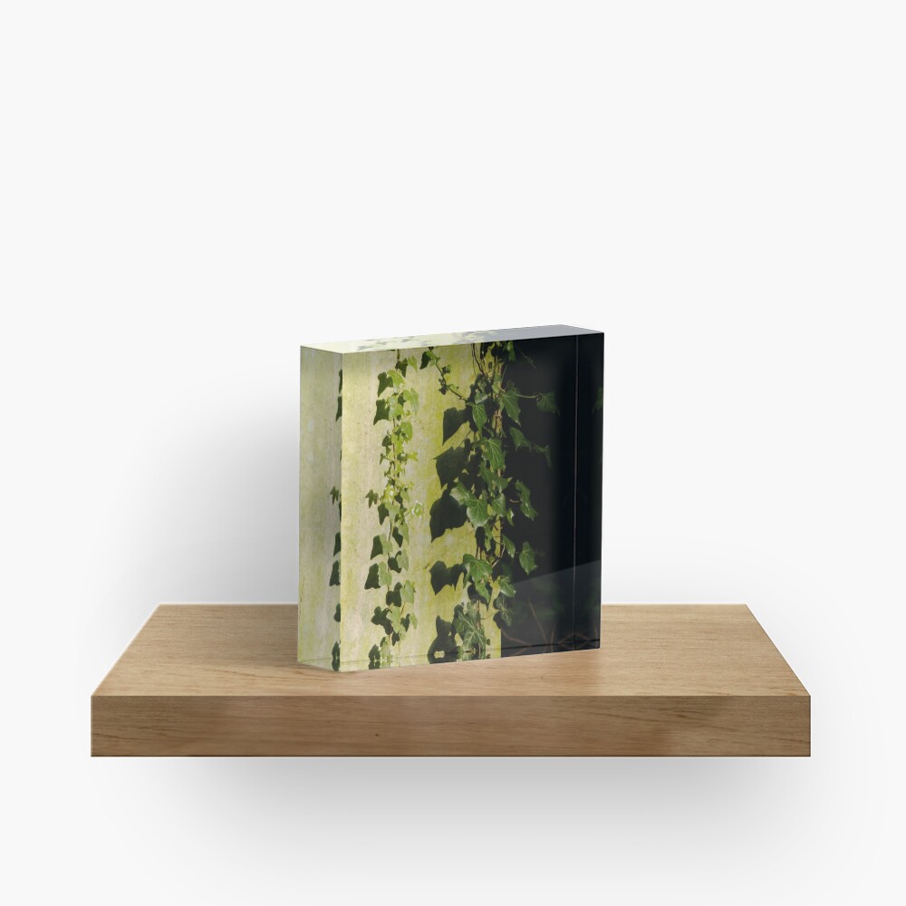 Trailing ivy on grave Acrylic Block