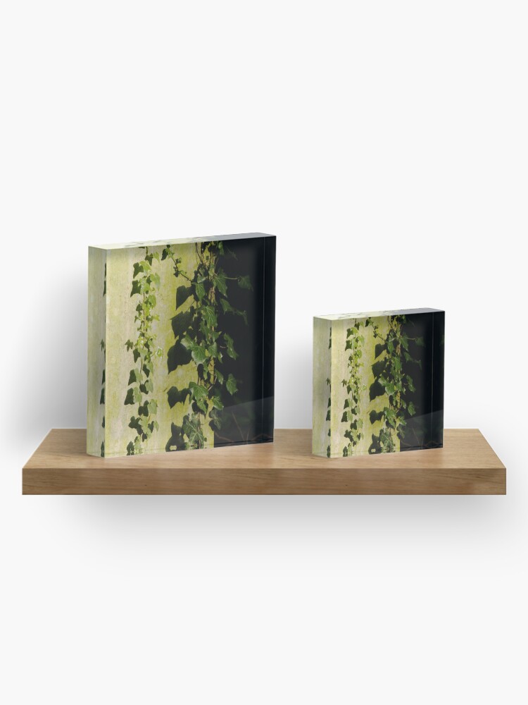 Alternate view of Trailing ivy on grave Acrylic Block