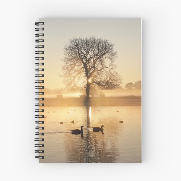 Item preview, Sunrise in Bushy Park designed and sold by jmwilesphotos.