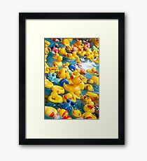Duckies ........... Framed Print