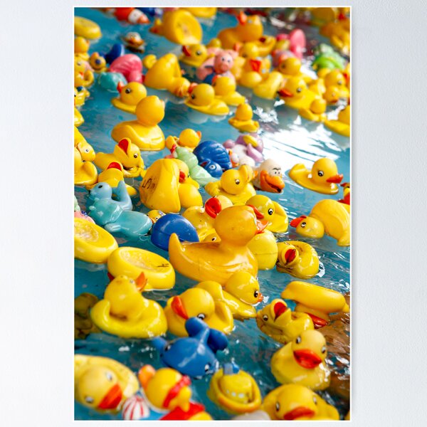 Item preview, Duckies ........... designed and sold by Nina  Matthews Photography.