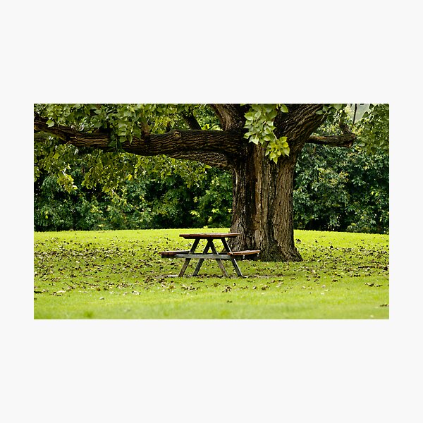 Item preview, ~Come sit with me~  designed and sold by Nina  Matthews Photography.