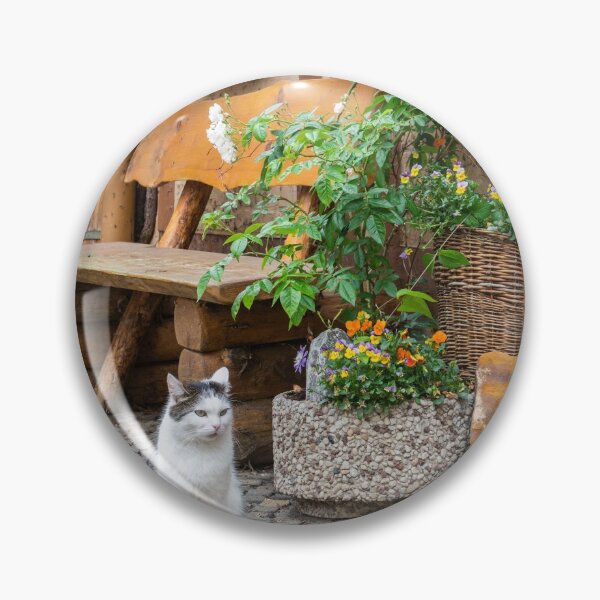 Item preview, A cat in Quedlinburg, Germany designed and sold by AlizadaStudios.
