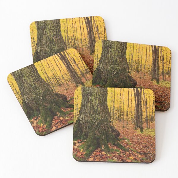 Item preview, Autumn along the Mission Hill Trail, Hiawatha National Forest, Michigan designed and sold by Daniel Arthur Brown Photography.