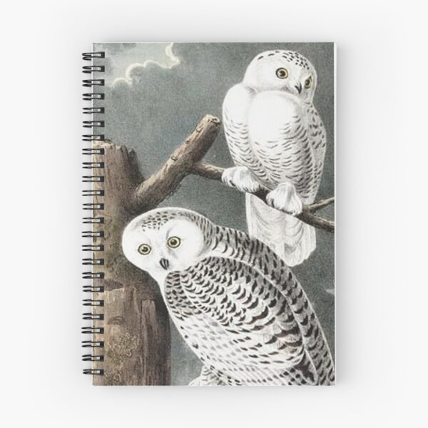 Item preview, Snowy Owls - John James Audubon designed and sold by Vintage Designs +.