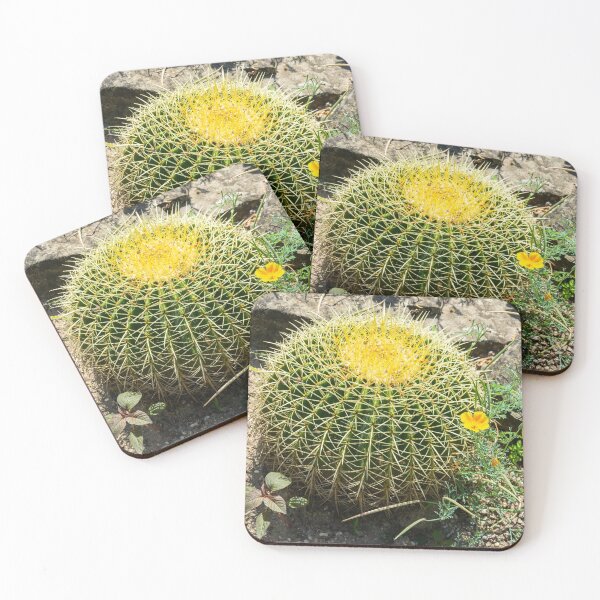 Item preview, Golden barrel cactus designed and sold by AlizadaStudios.