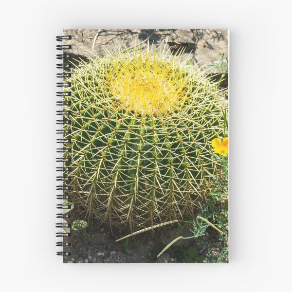 Item preview, Golden barrel cactus designed and sold by AlizadaStudios.