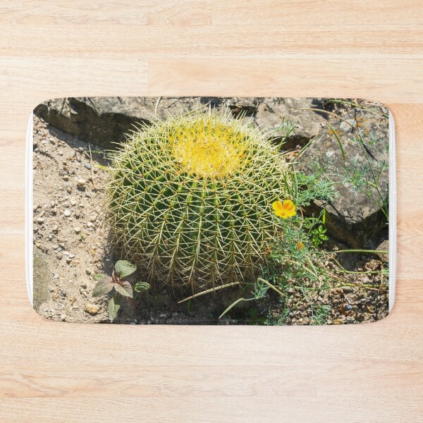 Item preview, Golden barrel cactus designed and sold by AlizadaStudios.