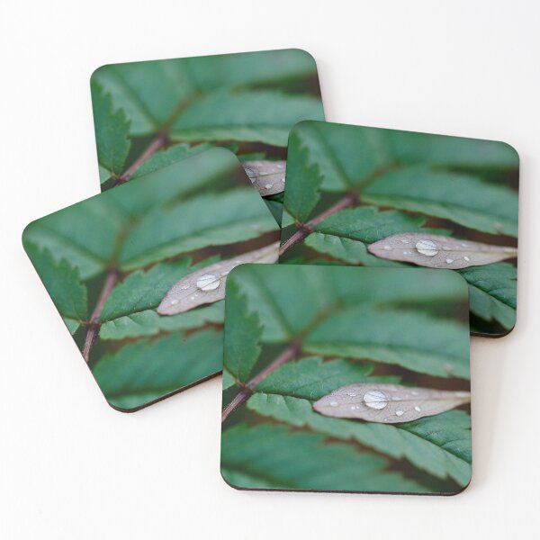 Item preview, Morning dew designed and sold by Patman61.
