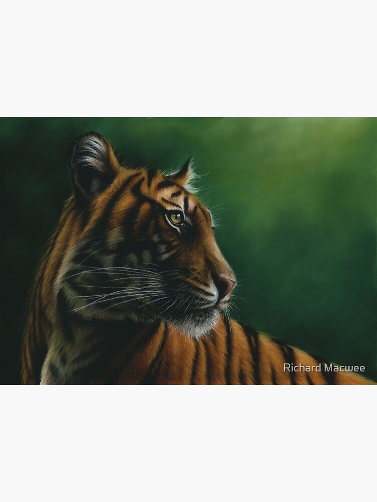 Wildlife Painting of a Tiger by richardmacwee