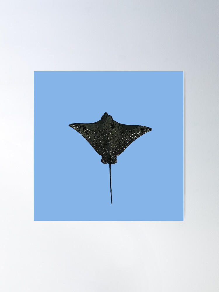 Spotted eagle ray