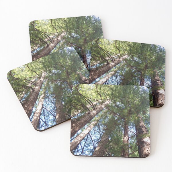 Item preview, Coastal Redwoods designed and sold by Allen Penton.