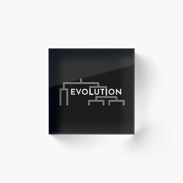 Evolution Acrylic Block