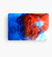 Food Coloring Canvas Print