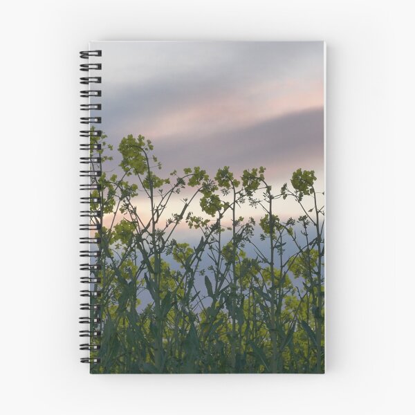Item preview, Rapeseed flowers against the evening sky designed and sold by Anna Myerscough.