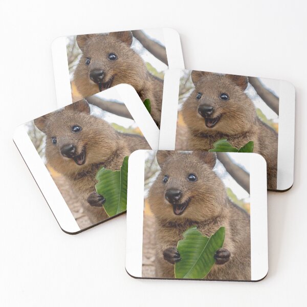 Item preview, Cvocca Quokka designed and sold by Michel11.