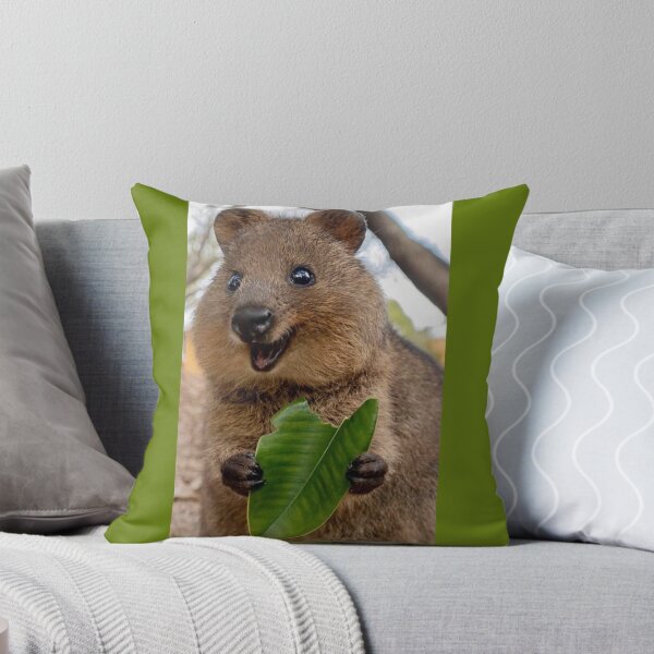 Item preview, Cvocca Quokka designed and sold by Michel11.