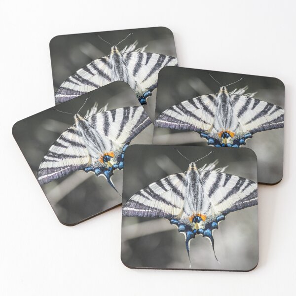 Item preview, Beautiful Iphiclides podalirius butterfly insect wing macro close-up designed and sold by Grégory DUBUS.
