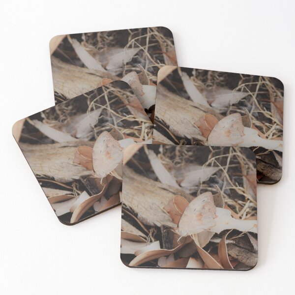Item preview, Camouflaged - Butterfly in the Bark designed and sold by imaginethis.