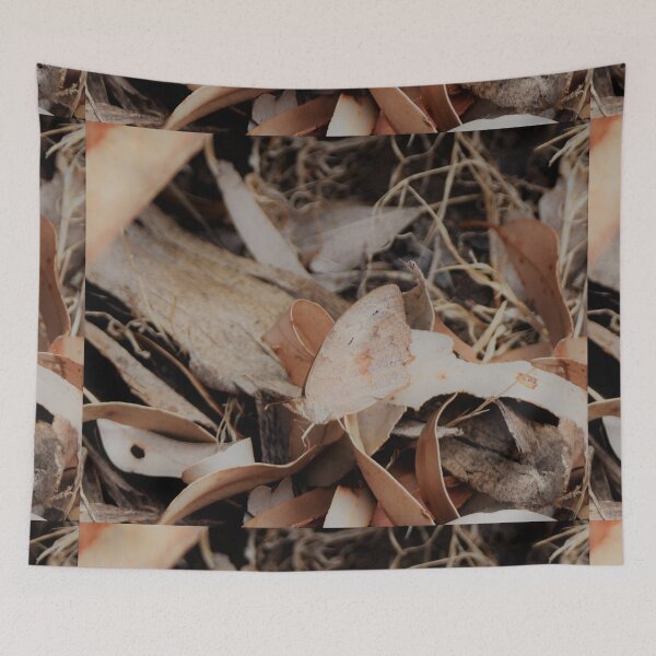 Item preview, Camouflaged - Butterfly in the Bark designed and sold by imaginethis.