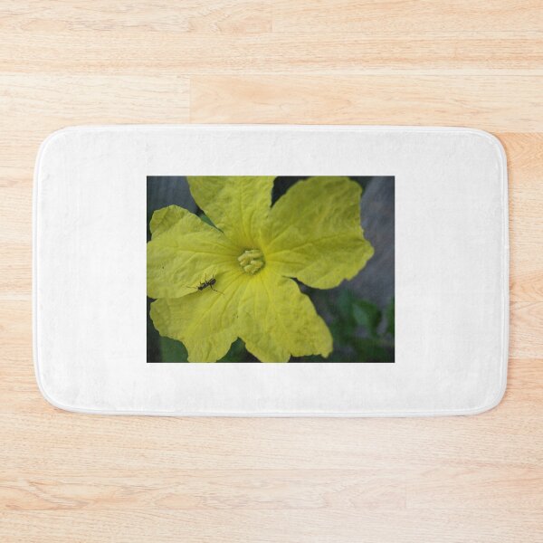Item preview, Isolation designed and sold by MarianBendeth.