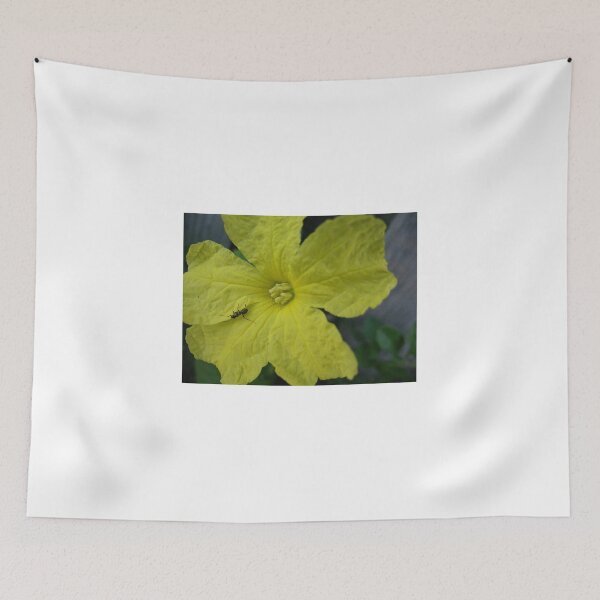 Item preview, Isolation designed and sold by MarianBendeth.