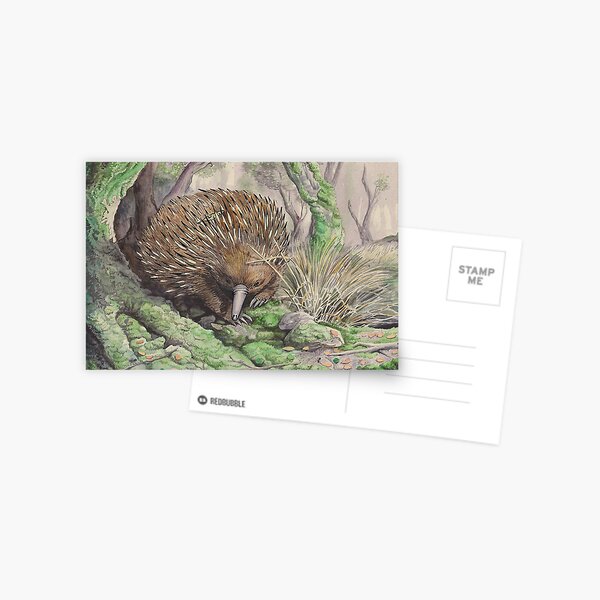 Item preview, Echidna designed and sold by SnakeArtist.