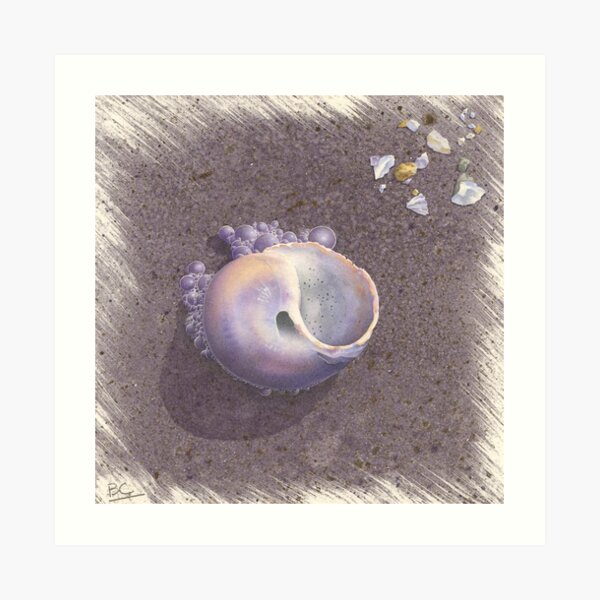 Crane Beach Bubbles Art Print