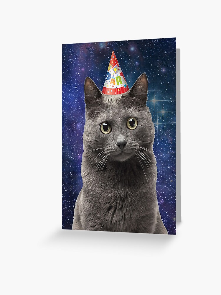 Carte De Vœux Anniversaire De Chat Galaxy Doux Par Alyssanbren Redbubble