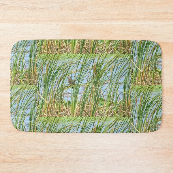 Item preview, Hide and Seek Snail kite designed and sold by Loveourbug.