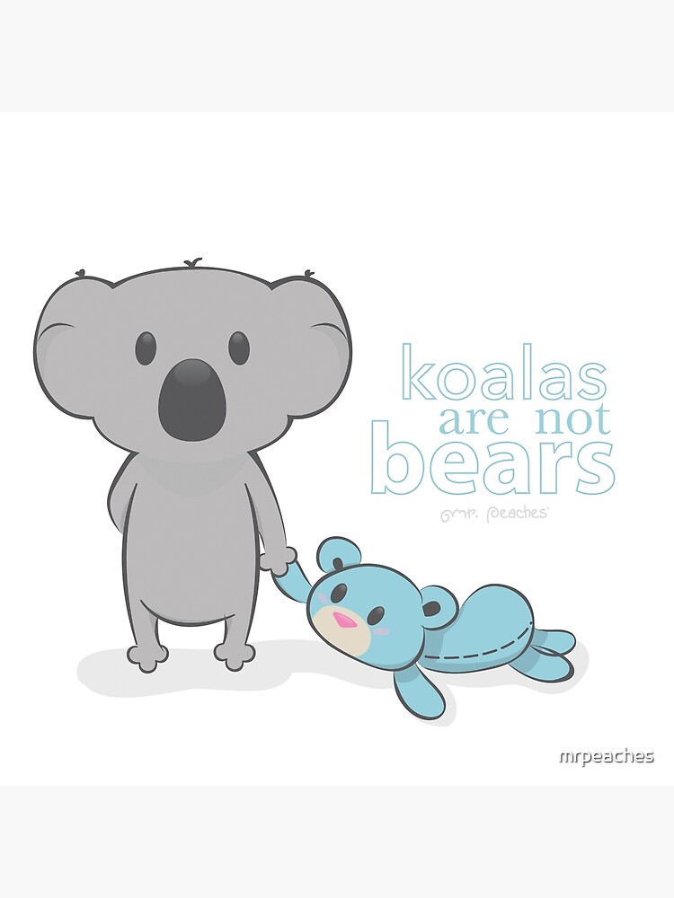 "Koalas are not bears" Poster by mrpeaches Redbubble