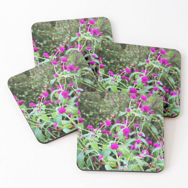 Item preview, Plum Globe Amaranth designed and sold by Cynthia48.