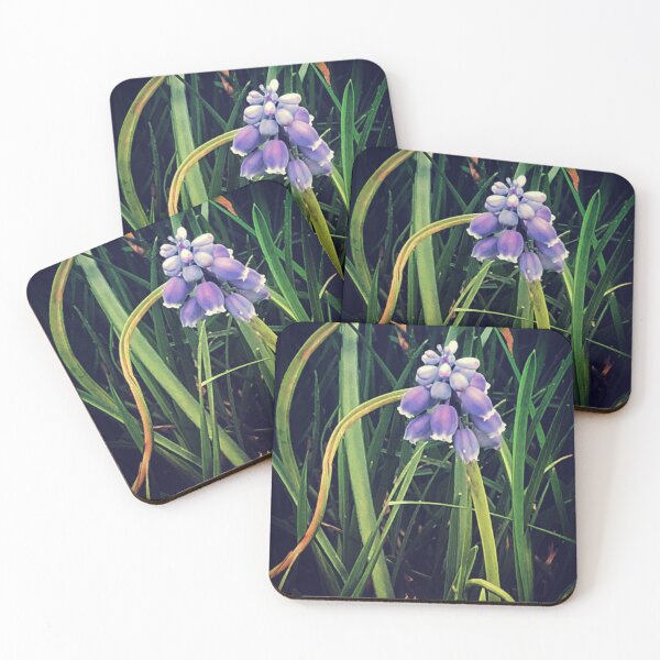 Item preview, Grape hyacinths among the blades of grass designed and sold by Paula Betz.