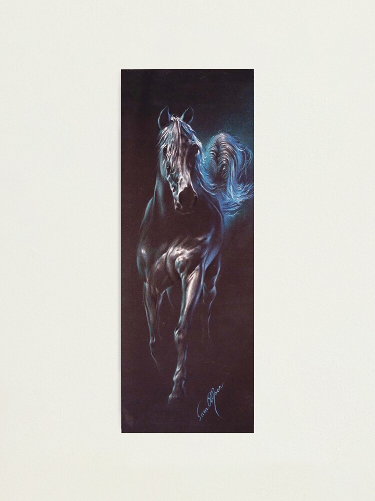 Alternate view of Prince Regent (Cropped) Photographic Print