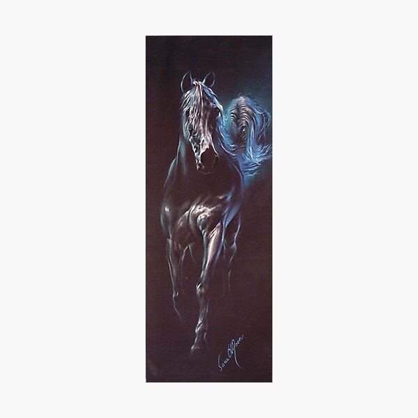 Photographic Print