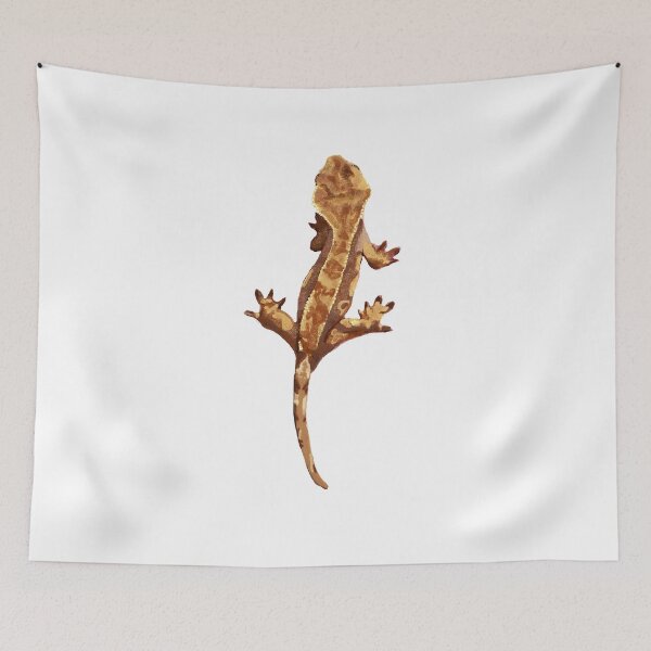 Item preview, Crested Gecko Eyelash Crestie Cresties  designed and sold by bahlpythons.