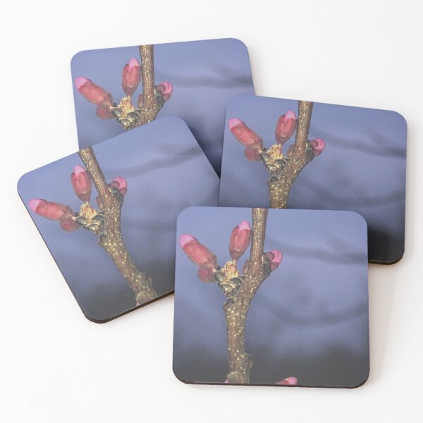 Item preview, Buds In The Sunset designed and sold by Paula Betz.