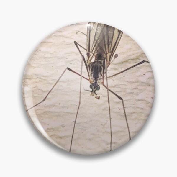 Item preview, Tipula, A Large Crane Fly With Interesting Wings designed and sold by Paula Betz.