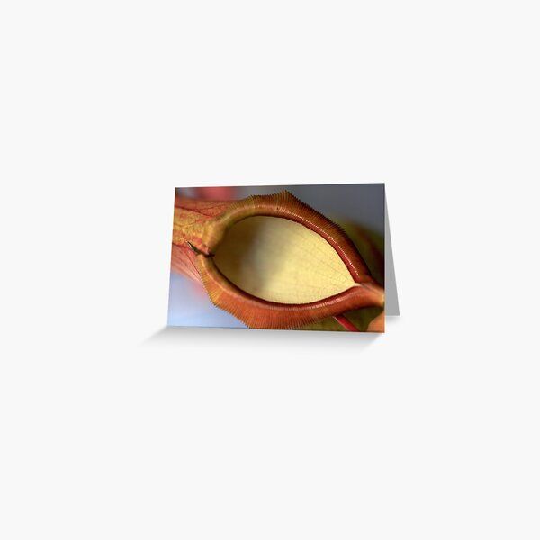 optically clear Greeting Card