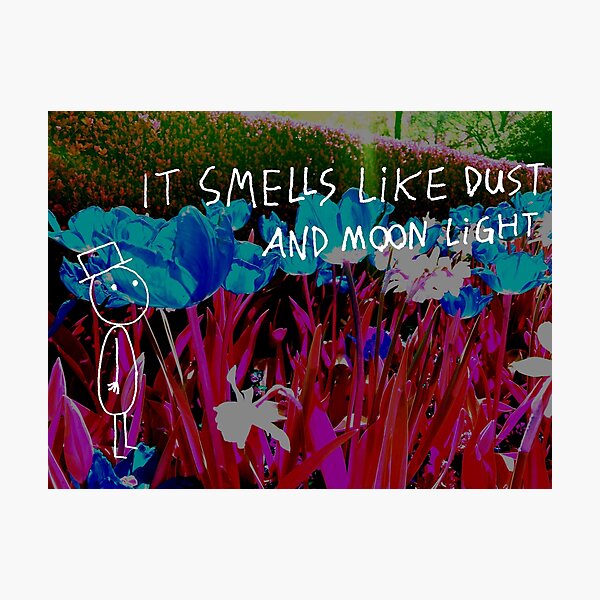 It’s Such a Beautiful Day - Don Hertzfeldt (FAN ART) Photographic Print